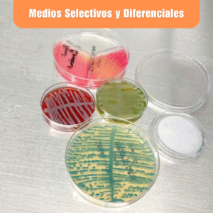 Laboratorio de Microbiología 9 Laboratorio de Microbiologia Medios Selectivos y Diferenciales