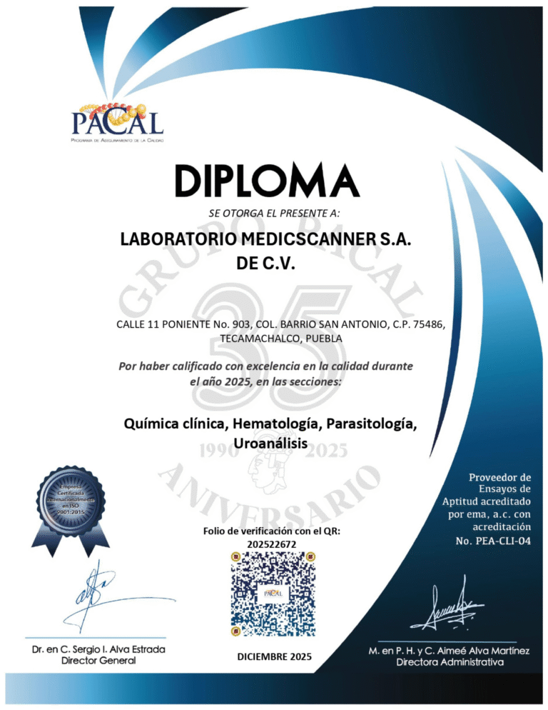 PI 4.2 Diploma