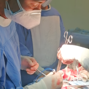 PGO DR. LINO 4